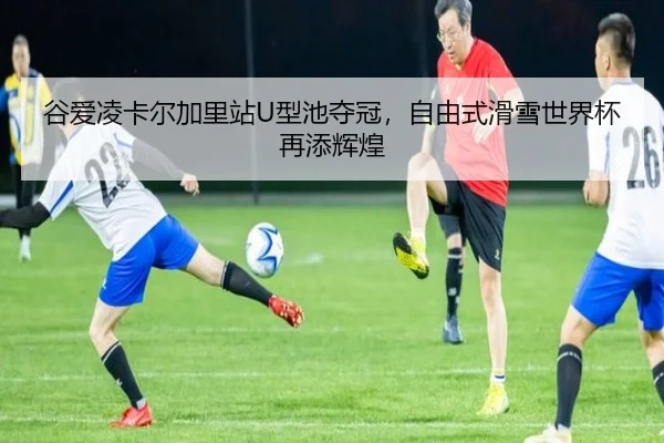 gu-ai-ling-ka-er-jia-li-zhan-xing-chi-duo-guan-zi-you-shi-hua-xue-shi-jie-bei-zai-tian-hui-huang-2-180.jpg