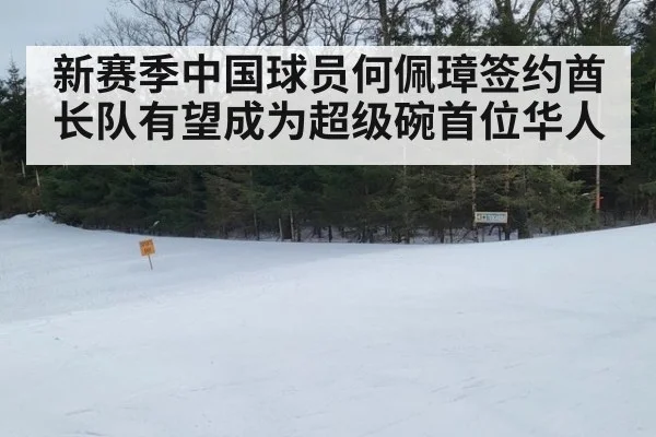新赛季中国球员何佩璋签约酋长队有望成为超级碗首位华人